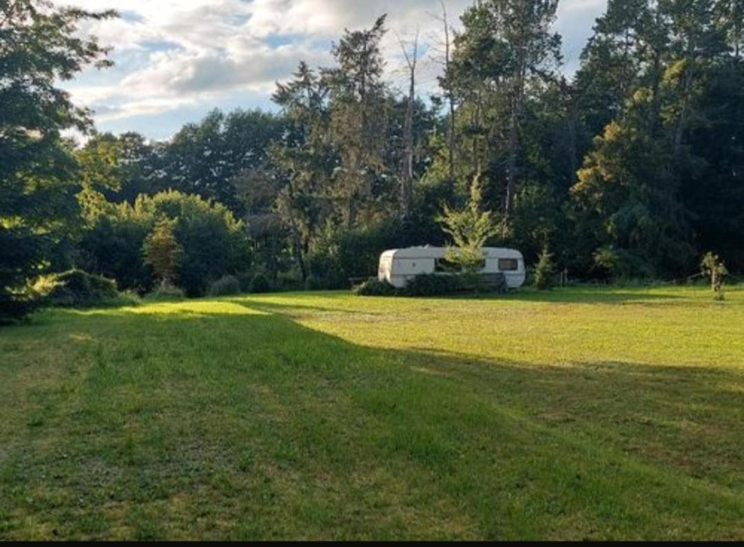 Tipi Glamping Naturcamping In Der Seenplatte Inklusive Strom- Dixi-wc!! #mecklenburg-vorpommern * Carpin