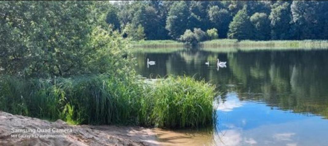 Tipi Glamping Naturcamping In Der Seenplatte Inklusive Strom- Dixi-wc!! #mecklenburg-vorpommern