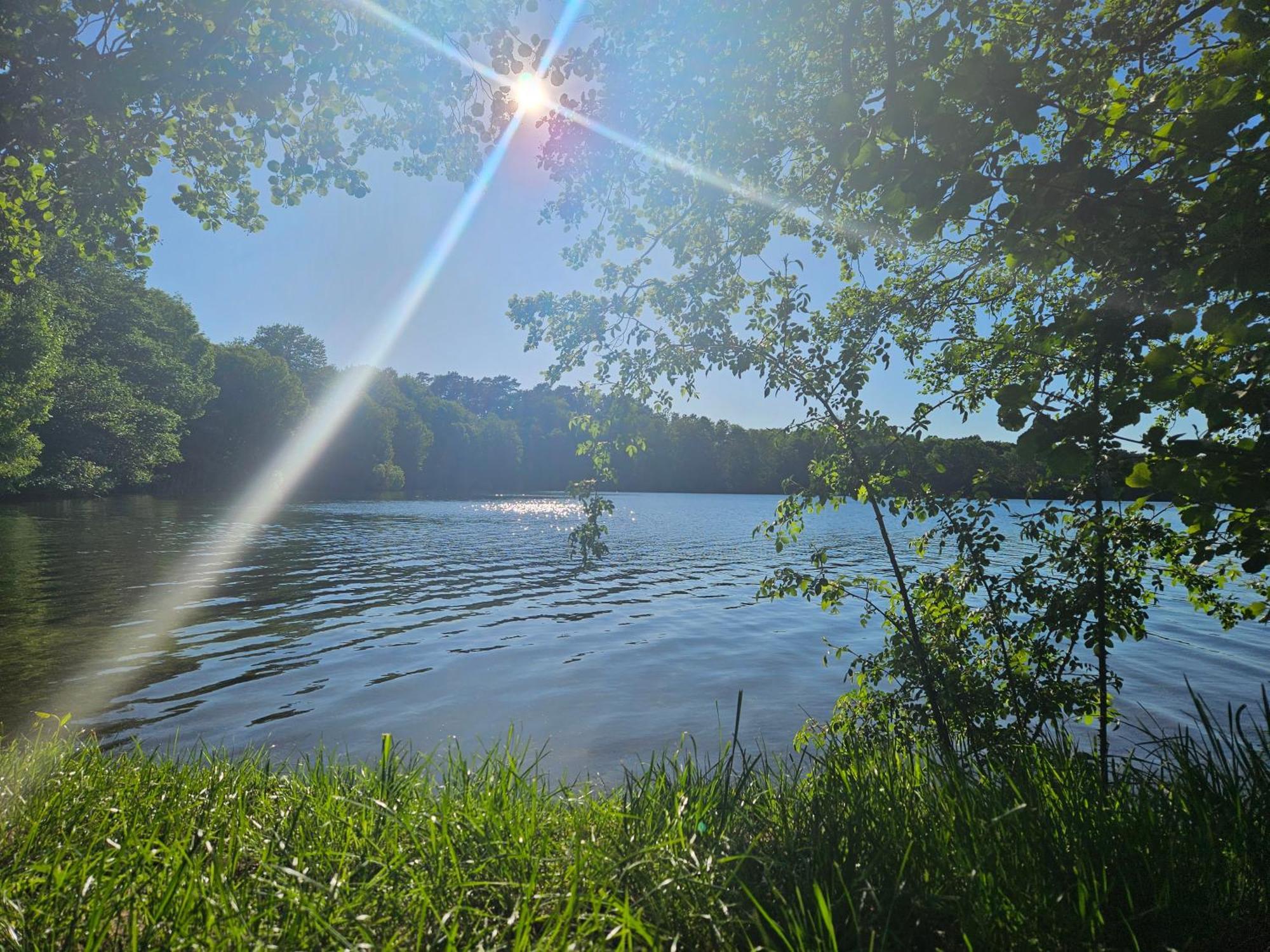 Tipi Glamping Naturcamping In Der Seenplatte Inklusive Strom- Dixi-wc!! #mecklenburg-vorpommern Carpin